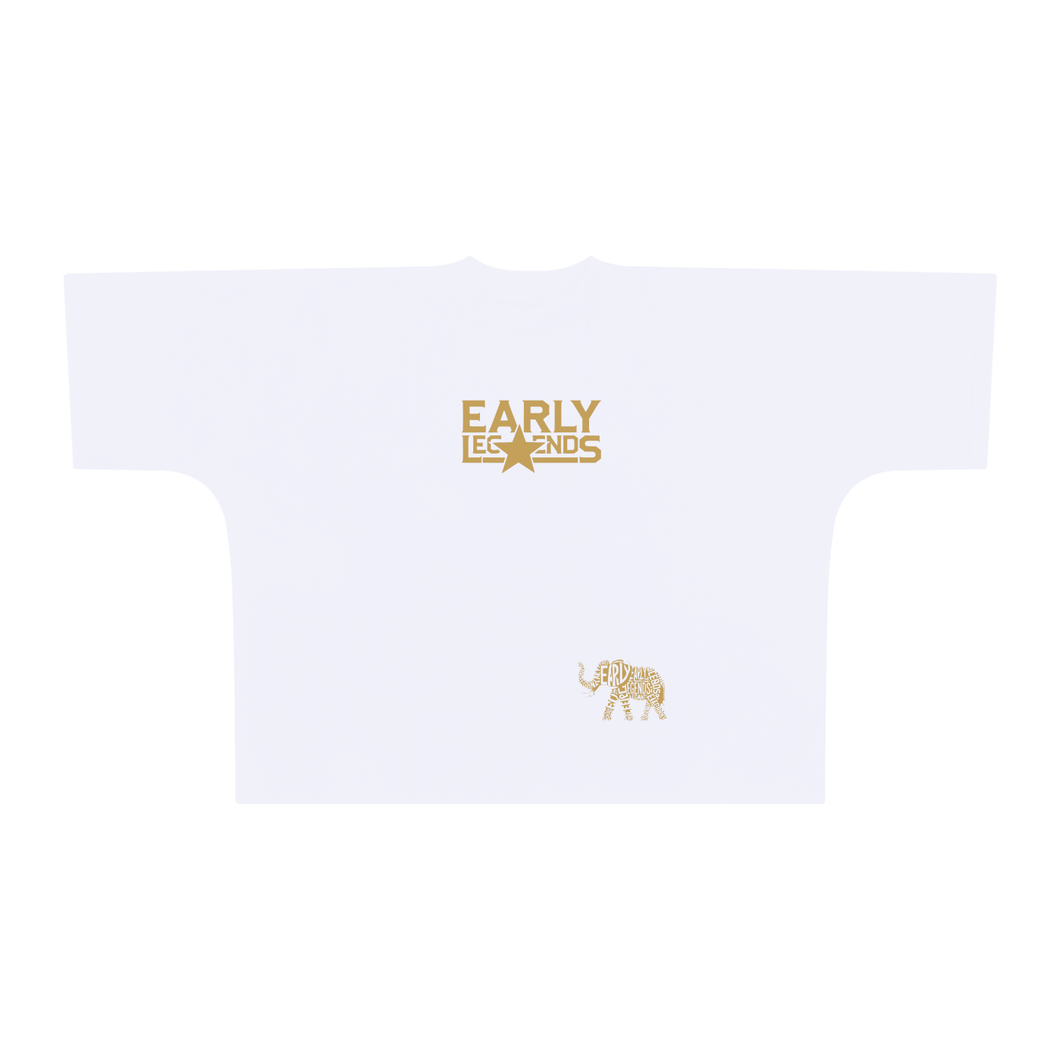Oversize One-piece Pattern Cut Boxy Tee - 300 GSM