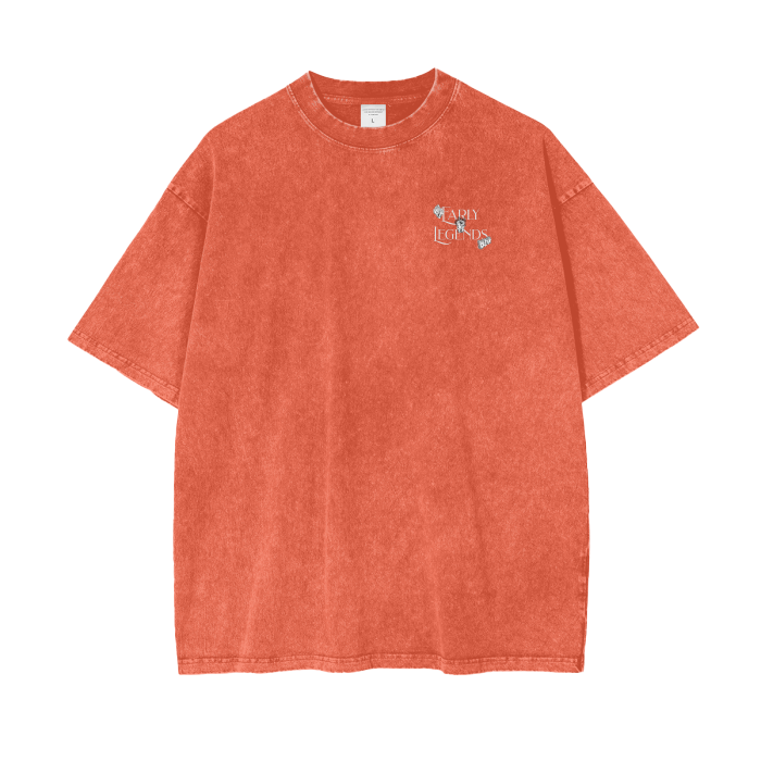 『TEN TEE ACID BROWN L』 All Day Womens Boxy Tee – L2 Brands